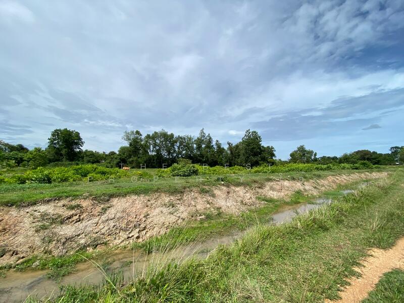 ที่ดินรัตภูมิ สงขลา, Songkhla, Kamphangphet, Rattaphum, Songkhla, , 3,344 sqm, Land For Sale, by The Best Property โอ๋, 500029964 - DDproperty.com