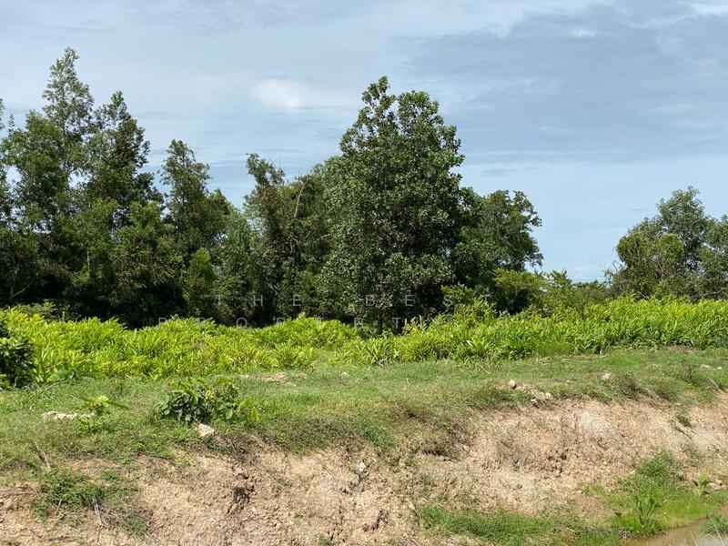 ที่ดินรัตภูมิ สงขลา, Songkhla, Kamphangphet, Rattaphum, Songkhla, , 3,344 sqm, Land For Sale, by The Best Property โอ๋, 500029964 - DDproperty.com