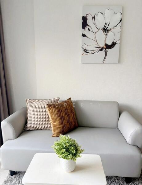 For Rent - The Origin Sukhumvit 105, Bangkok