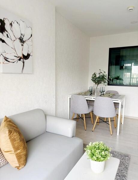 For Rent - The Origin Sukhumvit 105, Bangkok
