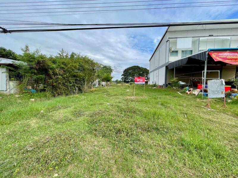 For Sale - ที่ดินโนนศิลา ขอนแก่น, Khon Kaen