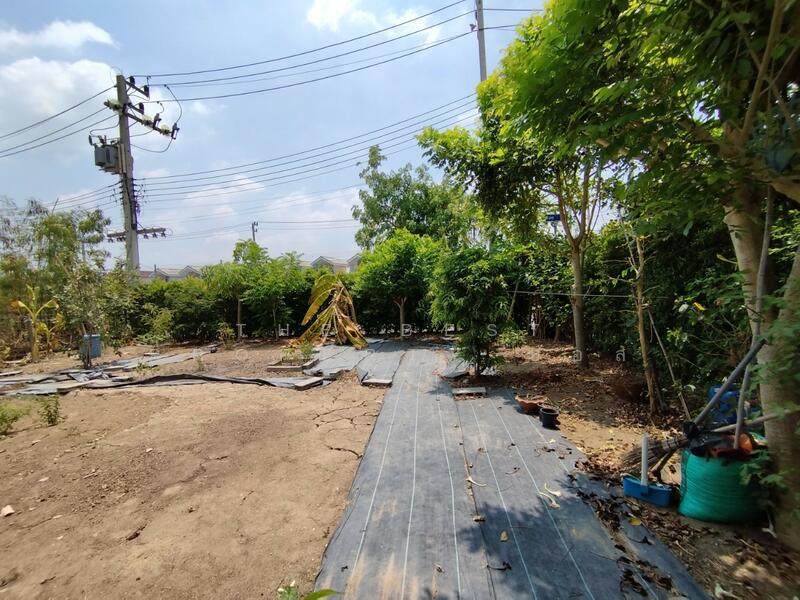 ขาย - Baan Eua Arthorn Rangsit Klong 10/2 : บ้านเอื้ออาทรรังสิต คลอง 10/2, ปทุมธานี