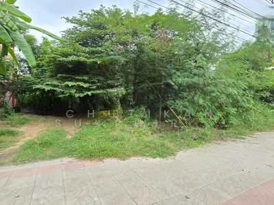 ขาย - ที่ดินเปล่าติดถนนใหญ่โรจนะ พื้นที่ 1 งาน 22 ตร.ว.ใกล้แหล่งชุมชน ต.ลำตาเสา อ.วังน้อย จ.พระนครศรีอยุธ, พระนครศรีอยุธยา