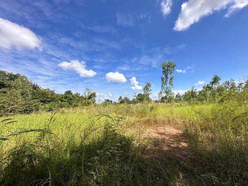 ขาย - ที่ดินวังทอง พิษณุโลก, พิษณุโลก