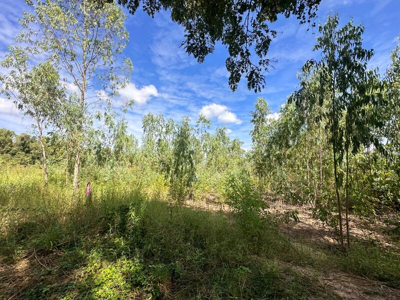 ขาย - ที่ดินวังทอง พิษณุโลก, พิษณุโลก