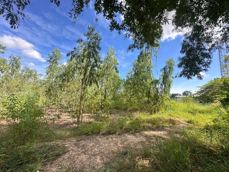 ขาย - ที่ดินวังทอง พิษณุโลก, พิษณุโลก