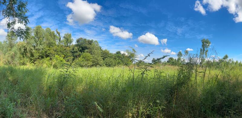 ขาย - ที่ดินวังทอง พิษณุโลก, พิษณุโลก
