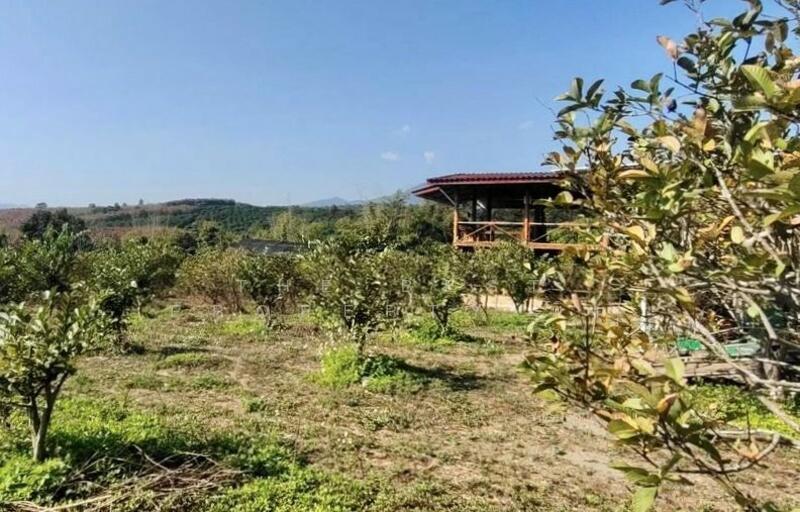 For Sale - ที่ดินพร้อมสิ่งปลูกสร้างพร้าว เชียงใหม่, Chiang Mai