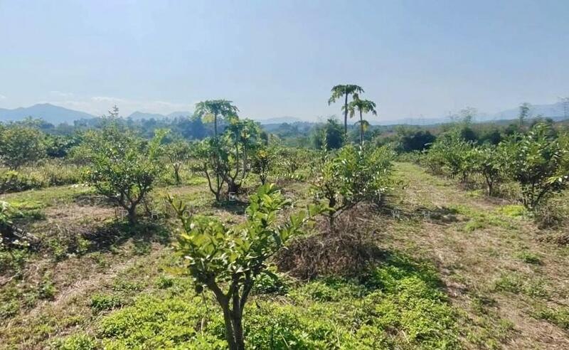 For Sale - ที่ดินพร้อมสิ่งปลูกสร้างพร้าว เชียงใหม่, Chiang Mai