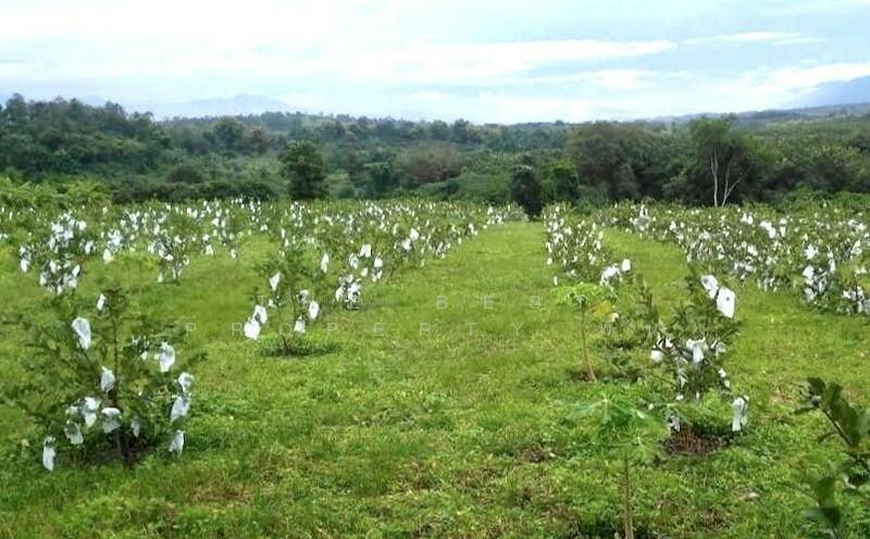 For Sale - ที่ดินพร้อมสิ่งปลูกสร้างพร้าว เชียงใหม่, Chiang Mai