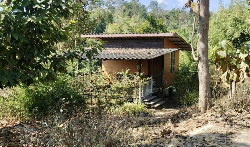 For Sale - ที่ดินพร้อมสิ่งปลูกสร้างพร้าว เชียงใหม่, Chiang Mai
