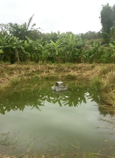 For Sale - ที่ดินพร้อมสิ่งปลูกสร้างพร้าว เชียงใหม่, Chiang Mai