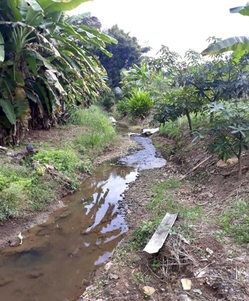 For Sale - ที่ดินพร้อมสิ่งปลูกสร้างพร้าว เชียงใหม่, Chiang Mai