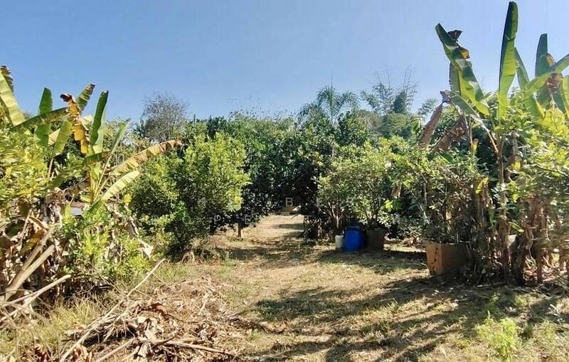 For Sale - ที่ดินพร้อมสิ่งปลูกสร้างพร้าว เชียงใหม่, Chiang Mai