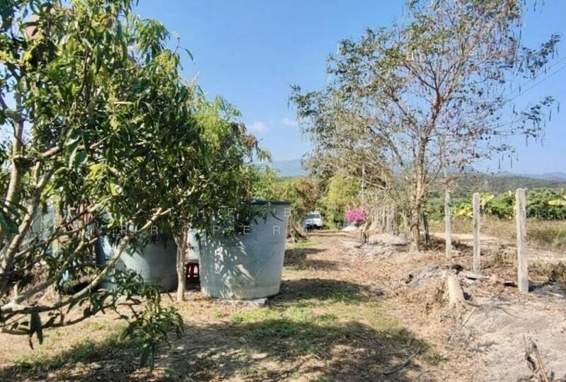 For Sale - ที่ดินพร้อมสิ่งปลูกสร้างพร้าว เชียงใหม่, Chiang Mai