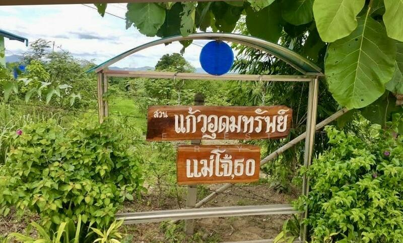 For Sale - ที่ดินพร้อมสิ่งปลูกสร้างพร้าว เชียงใหม่, Chiang Mai