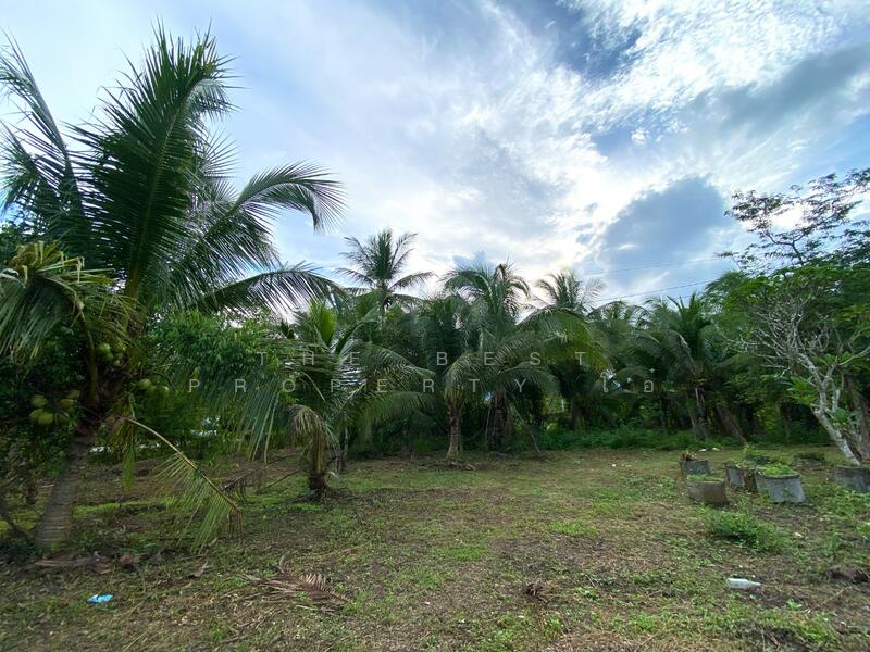 For Sale - ที่ดินพร้อมสิ่งปลูกสร้างรัตภูมิ สงขลา, Songkhla