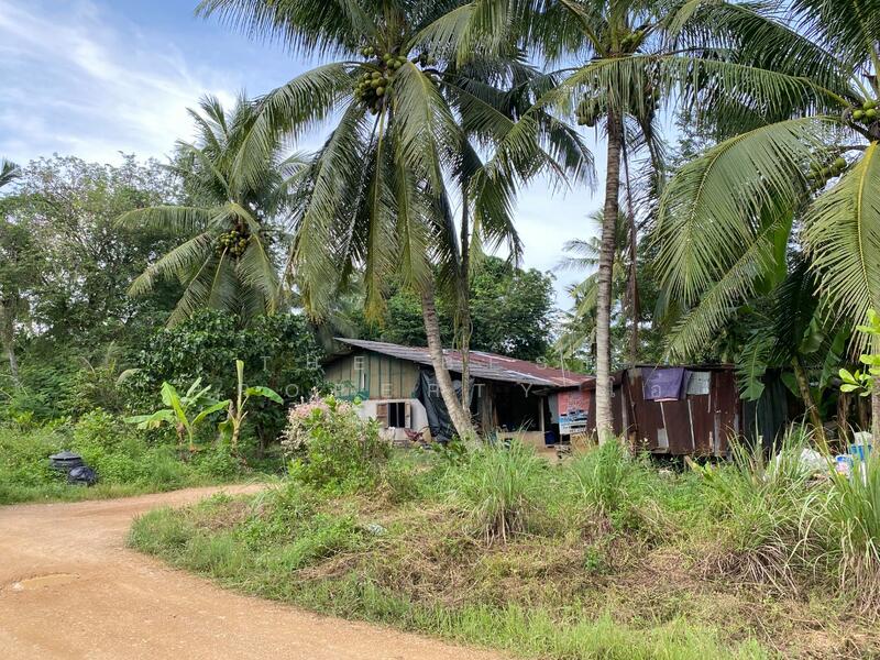 ขาย - ที่ดินพร้อมสิ่งปลูกสร้างรัตภูมิ สงขลา, สงขลา