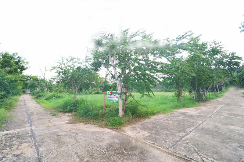 ที่ดิน ใกล้ทะเล หาดเจ้าสำราญ หาดปึกเตียน