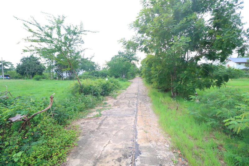 ที่ดิน ใกล้ทะเล หาดเจ้าสำราญ หาดปึกเตียน