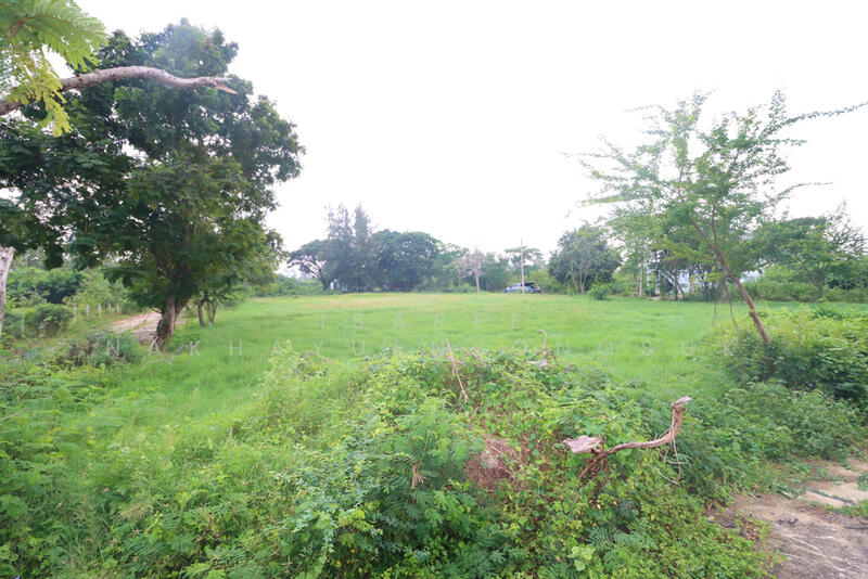 ที่ดิน ใกล้ทะเล หาดเจ้าสำราญ หาดปึกเตียน