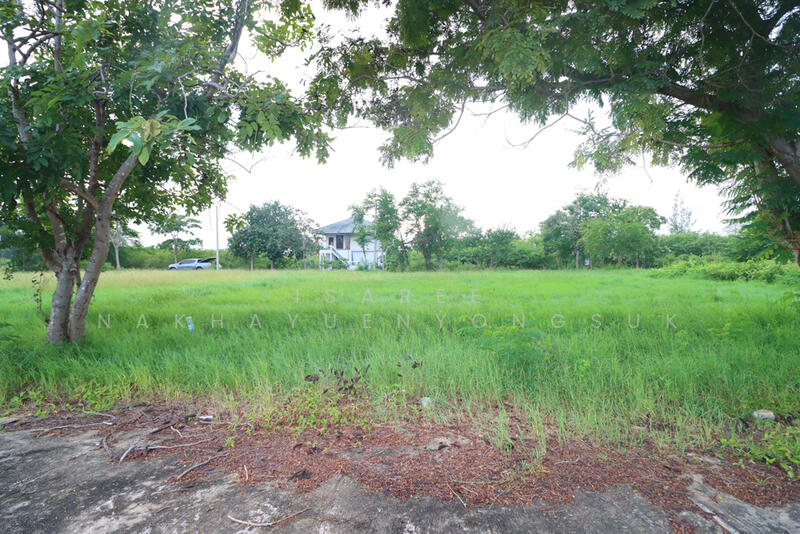 ที่ดิน ใกล้ทะเล หาดเจ้าสำราญ หาดปึกเตียน