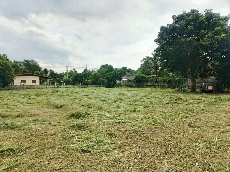 ขาย - ที่ดินปากพลี นครนายก, นครนายก