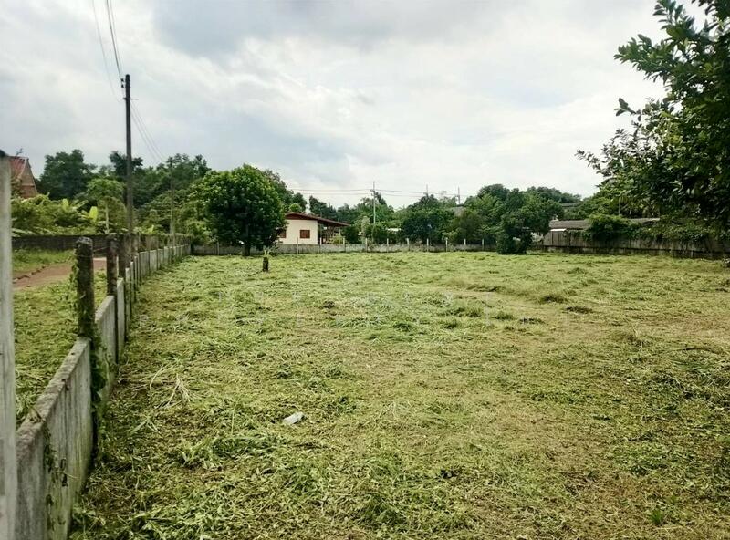 ขาย - ที่ดินปากพลี นครนายก, นครนายก