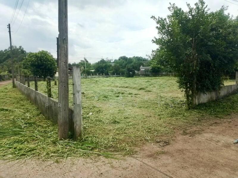 ขาย - ที่ดินปากพลี นครนายก, นครนายก