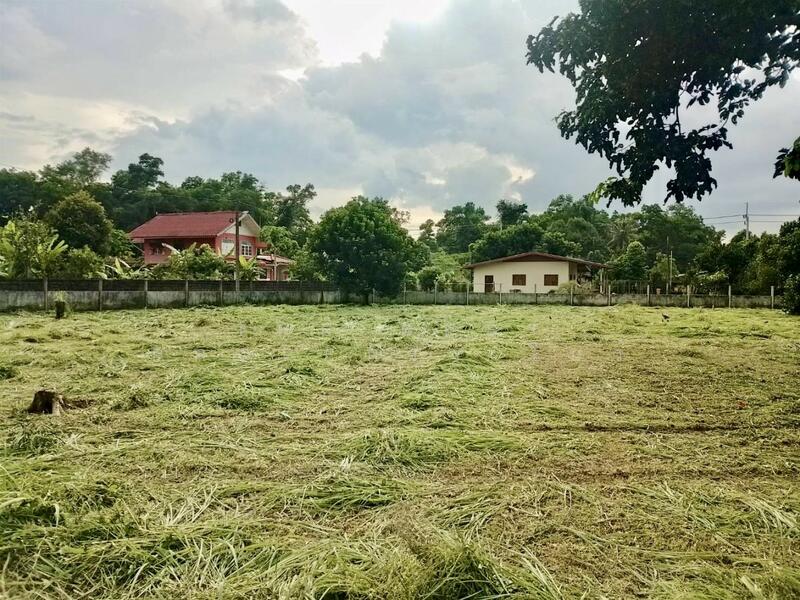 ขาย - ที่ดินปากพลี นครนายก, นครนายก