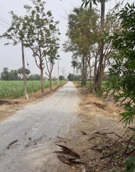 ขาย - ที่ดินดอนเจดีย์ สุพรรณบุรี, สุพรรณบุรี