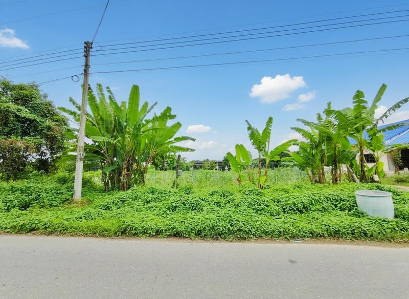 ขาย - ที่ดินหนองงูเหลือม นครปฐม, นครปฐม