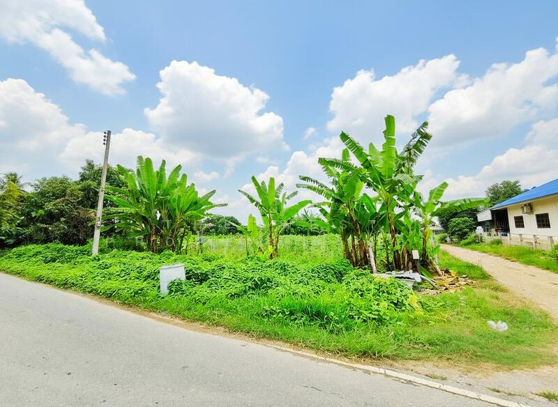 ขาย - ที่ดินหนองงูเหลือม นครปฐม, นครปฐม