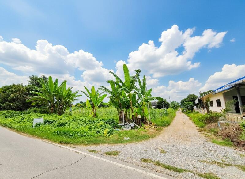 ขาย - ที่ดินหนองงูเหลือม นครปฐม, นครปฐม