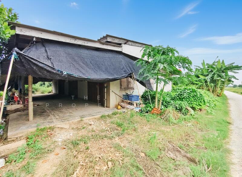 ขาย - ที่ดินหนองงูเหลือม นครปฐม, นครปฐม