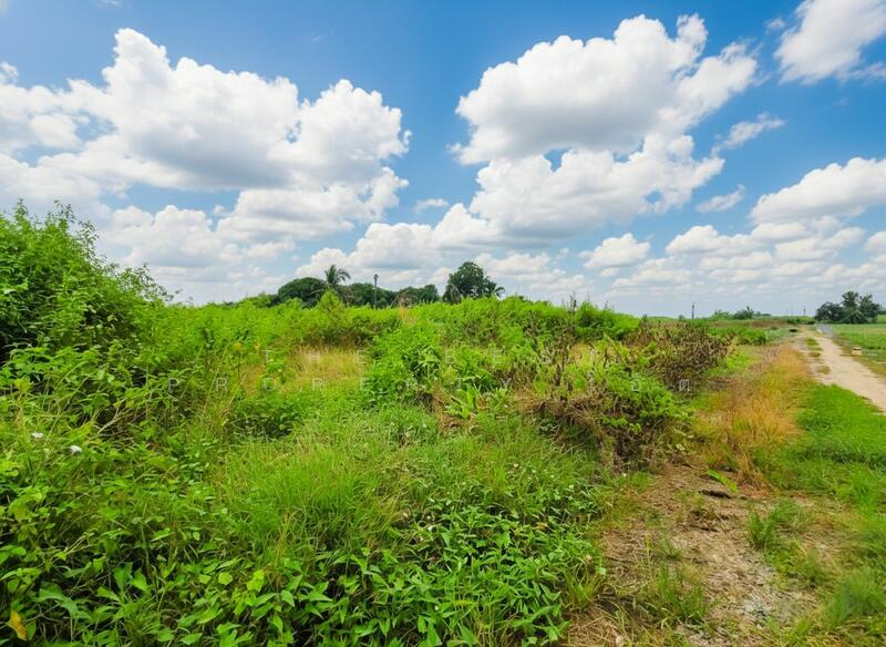 ขาย - ที่ดินหนองงูเหลือม นครปฐม, นครปฐม