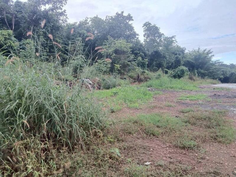 For Sale - ที่ดินแปลงใหญ่ 57-0-94 ไร่ ป่าซาง จ.ลำพูน, Lamphun