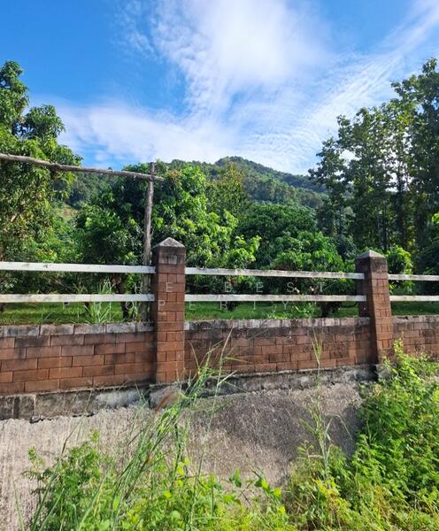For Sale - ที่ดินขุนตาล เชียงราย, Chiang Rai