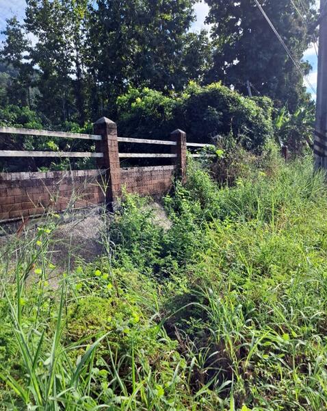 For Sale - ที่ดินขุนตาล เชียงราย, Chiang Rai