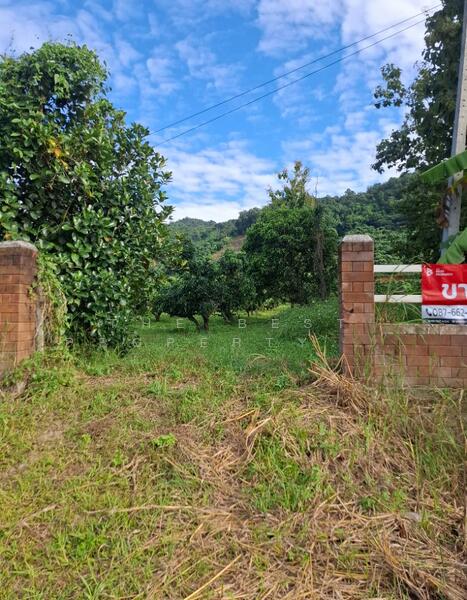 For Sale - ที่ดินขุนตาล เชียงราย, Chiang Rai