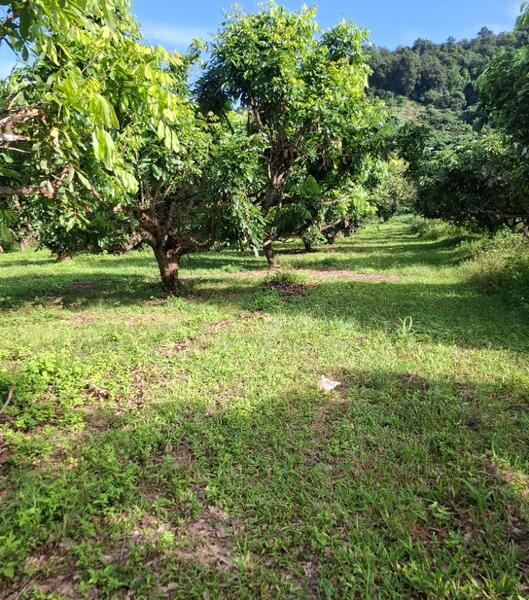 For Sale - ที่ดินขุนตาล เชียงราย, Chiang Rai