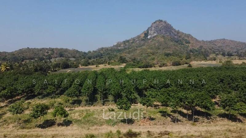 ขาย - 6 ห้องนอน 7 ห้องน้ำ วิลล่า สำหรับ ขาย, ประจวบคีรีขันธ์