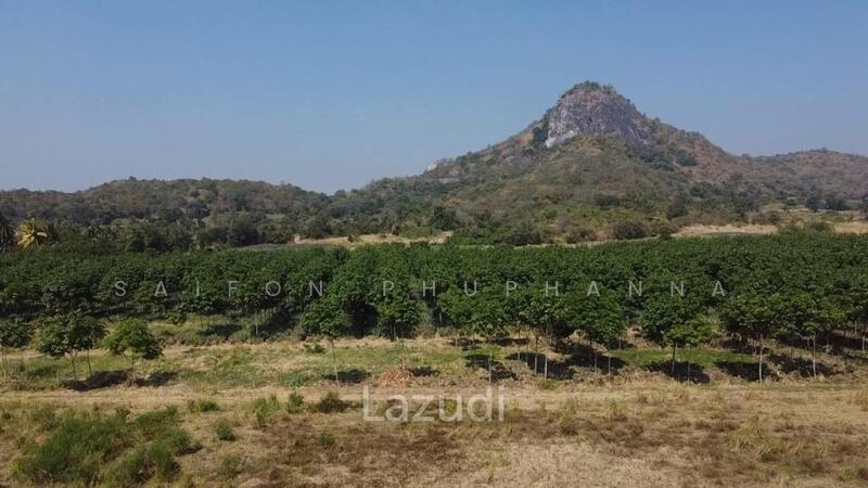 ขาย - 6 ห้องนอน 7 ห้องน้ำ วิลล่า สำหรับ ขาย, ประจวบคีรีขันธ์