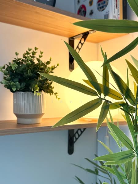 Quintara MHy’GEN Ratchada-Huai Khwang, Bangkok, 192 Ratchadaphisek 12 Alley, Huai Khwang, Bangkok, Studio, 21 sqm, Condo For Rent, by นิตา โสภาวรรณ, 500031986 - DDproperty.com