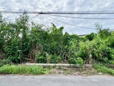 ขาย - ขาย ที่ดิน 300 ตร.วา ซอยลำโพ 21 บางบัวทอง, นนทบุรี