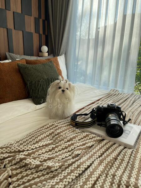 Option To Buy - The Origin Phahol 57, Bangkok