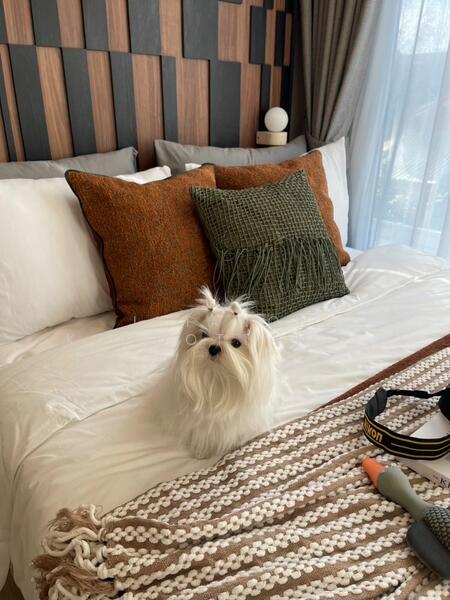 Option To Buy - The Origin Phahol 57, Bangkok