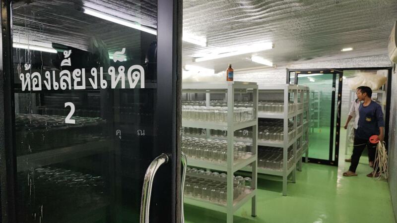 ให้เช่า - โรงงาน ในอ.ดำเนินสะดวก, ราชบุรี