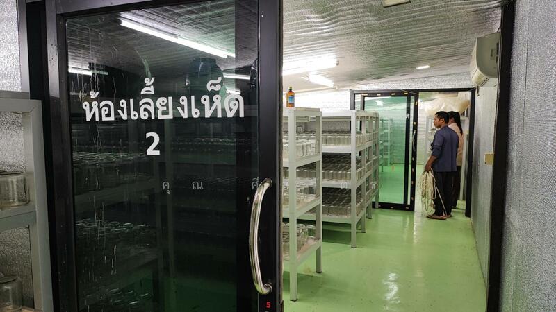 ให้เช่า - โรงงาน ในอ.ดำเนินสะดวก, ราชบุรี