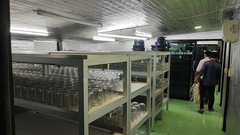 ให้เช่า - โรงงาน ในอ.ดำเนินสะดวก, ราชบุรี